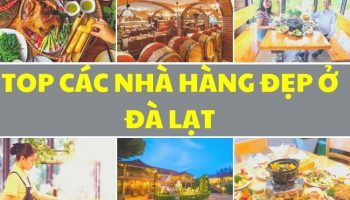 Top những nhà hàng đẹp nhất Đà Lạt - Chill phết đấy
