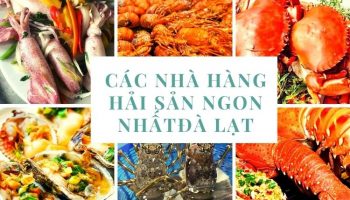 Nhà hàng hải sản Đà Lạt - Tươi, ngon, đậm đà