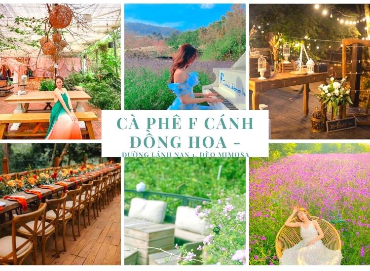 Một quán cà phê đầy hoa và rất nhiều backround xịn xò