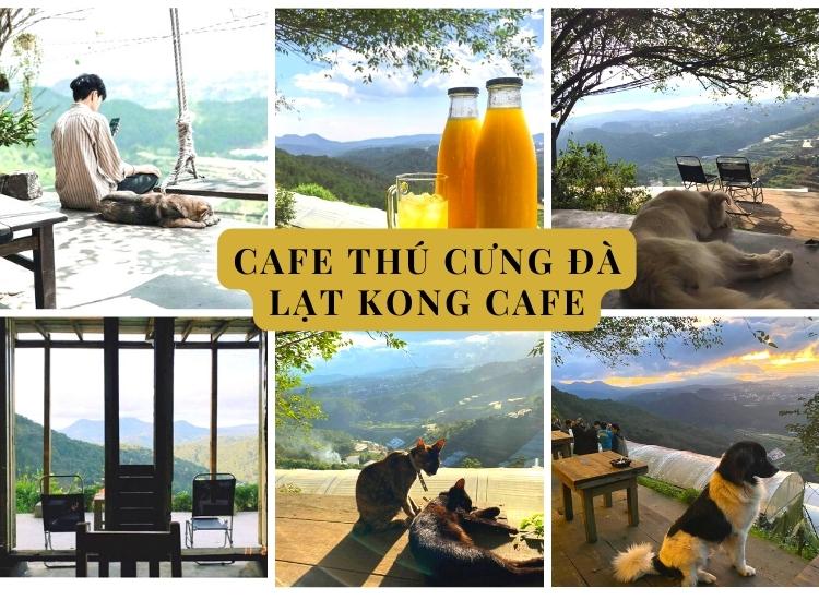 Quán cà phê khá xa trung tâm, ẩn mình trong rừng thông cao vút, không gian đẹp, nhẹ nhàng cùng những chú cún