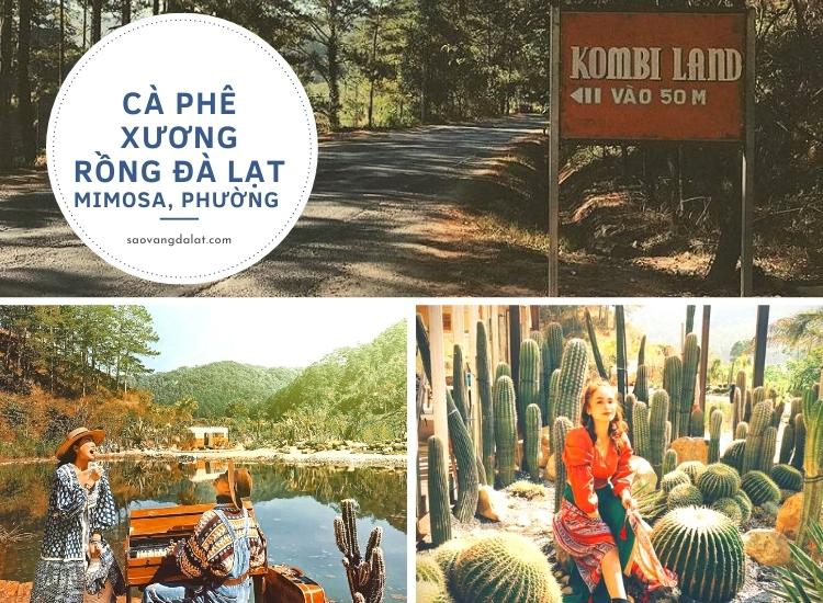 Cà phê xương rồng - tiểu sa mạc cực kỳ xinh đẹp ở giữa rừng thông