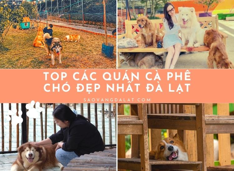 Tổng hợp các quán cà phê chó, mèo Đà Lạt đẹp nhất xứ sương mù