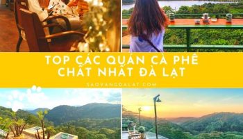 Top các quán cà phê đẹp nhất Đà Lạt