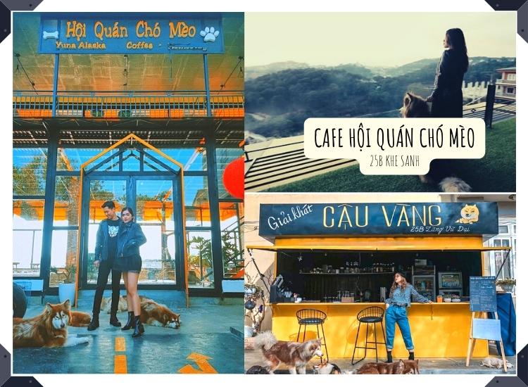 Hội quán chó mèo - những em mèo và cún thân thiện quấn lấy nhau