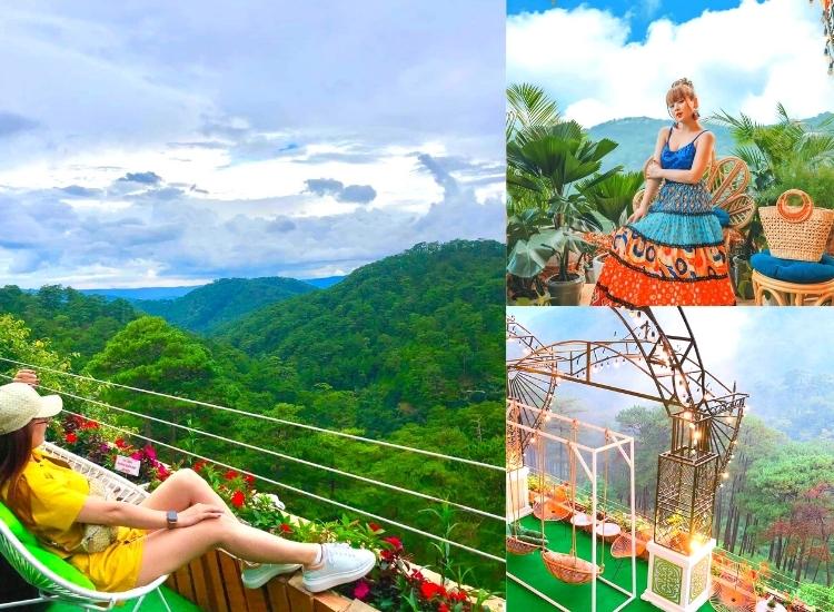 View rừng thông cực chất
