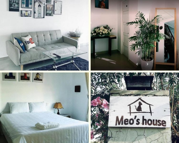 Meo’s house Đà Lạt - Địa điểm được giới trẻ yêu thích
