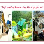 Danh sách homestay giá rẻ Đà Lạt hạt dẻ, lập kèo cùng hội bạn đi ngay kẻo lỡ