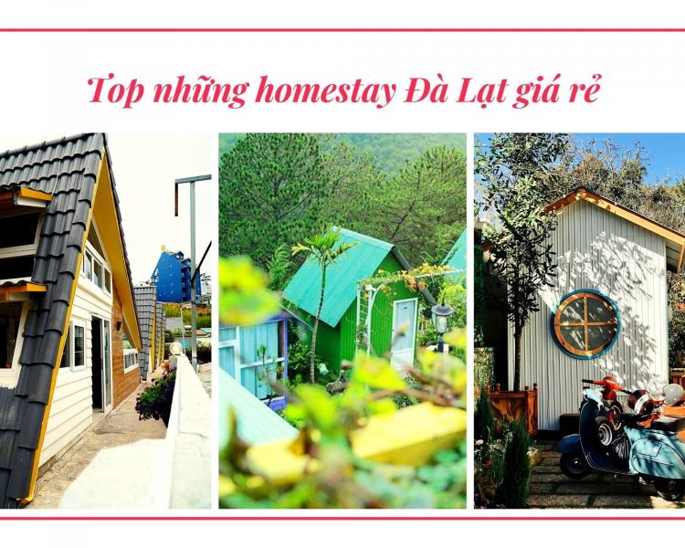 Danh sách homestay giá rẻ Đà Lạt hạt dẻ, lập kèo cùng hội bạn đi ngay kẻo lỡ