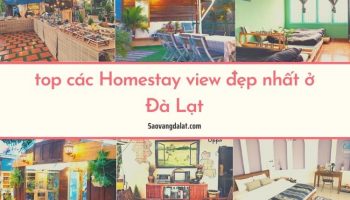 Top các homestay view cực chất ở Đà Lạt