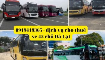 Dịch vụ cho thuê xe 45 chỗ uy tín