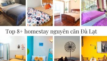 Review các homestay nguyên căn giá tốt nhất Đà Lạt