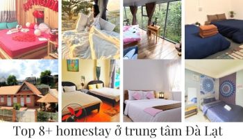 Review top 8 homestay ở trung tâm Đà Lạt cực kỳ chất