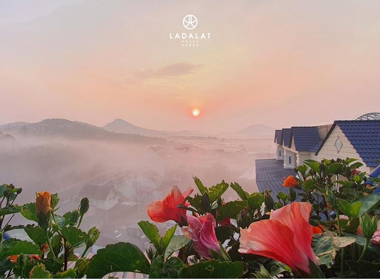 View sáng mai cực đẹp