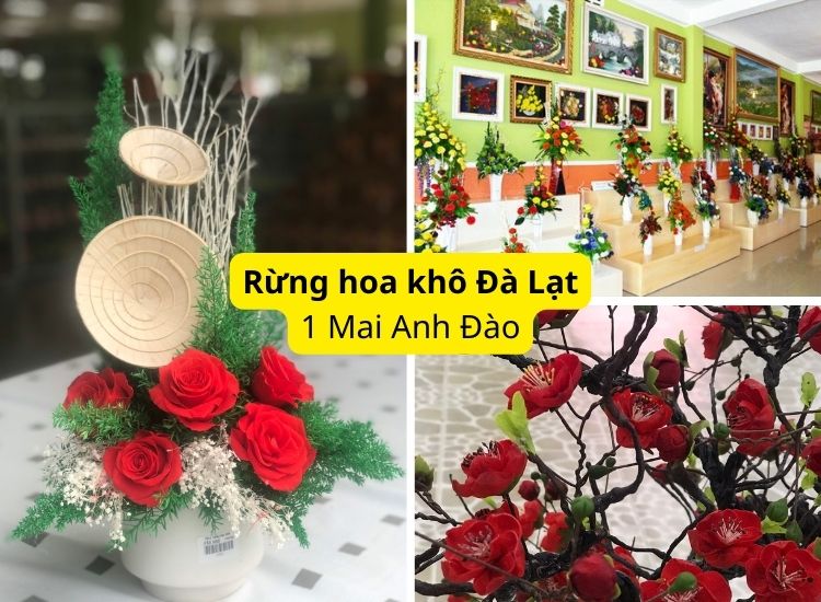 Rừng Hoa Khô Đà Lạt - nơi sản xuất những chậu hoa khô chất lượng