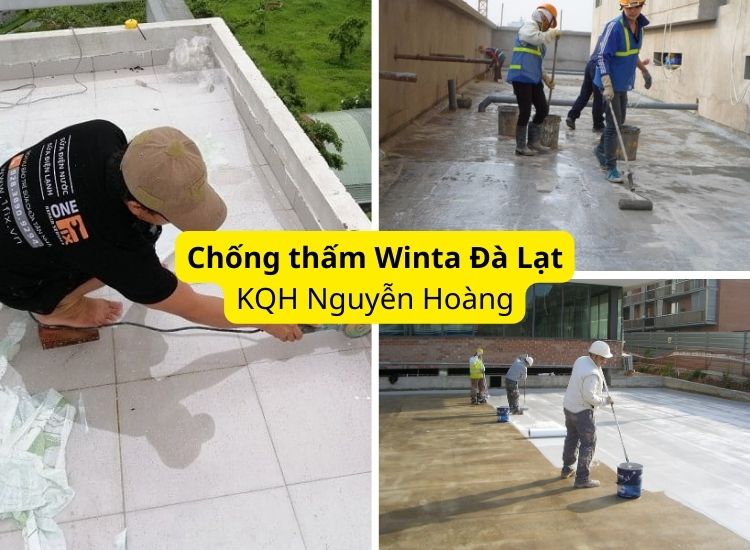 Winta Đà Lạt - đơn vị có nhiều kinh nghiệm
