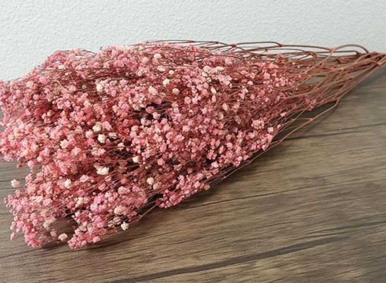 Hoa đẹp và vẫn giữ được sự tươi mới