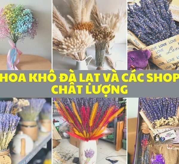 Tổng hợp những shop hoa khô chất lượng nhất Đà Lạt