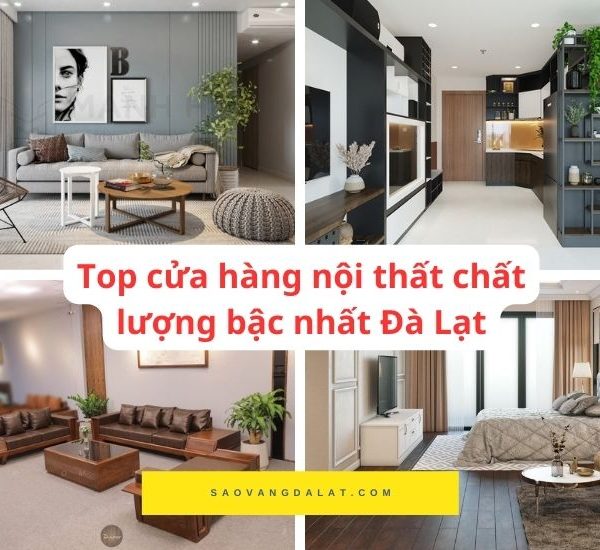 Các shop nội thất uy tín, giá tốt nhất Đà Lạt